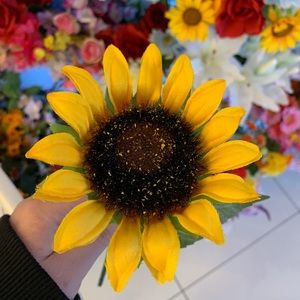 Meet your Posher, Daria